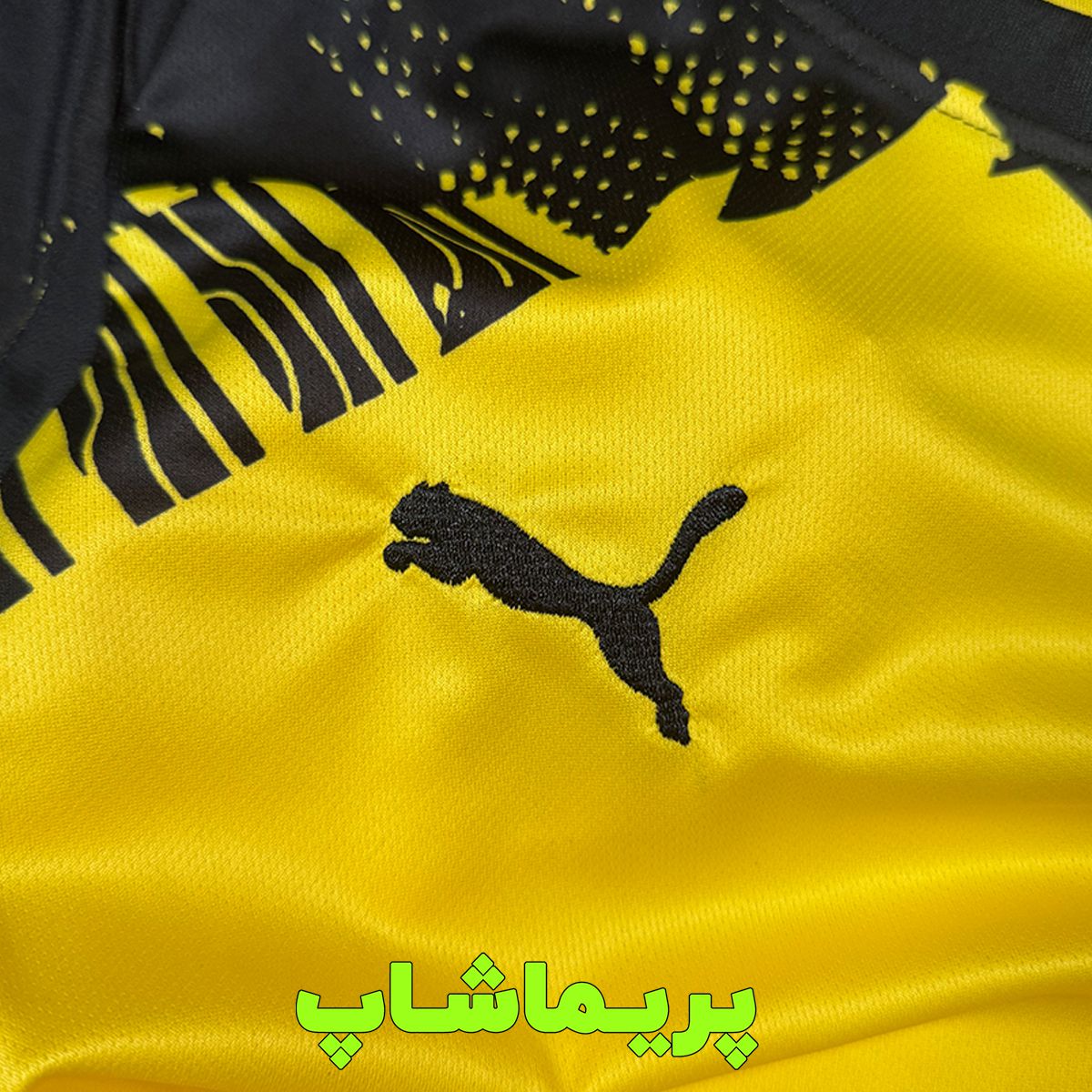 کیت دورتموند 2026