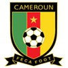 لباس تیم ملی کامرون